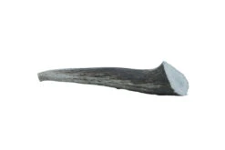 The Wild Antler Co. Full Wild Antler Dog Chew 9 The Wild Antler Co. Full Wild Antler Dog Chew -Pawfect Sales Store AF001 D
