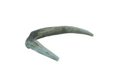 The Wild Antler Co. Full Wild Antler Dog Chew 11 The Wild Antler Co. Full Wild Antler Dog Chew -Pawfect Sales Store AF001 E