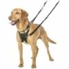 Halti No Pull Dog Harness -Pawfect Sales Store NoPullSquare