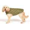 Danish Design Forest Green Quilted Dog Coat 1 Danish Design Forest Green Quilted Dog Coat -Pawfect Sales Store Quilted Dog Coat Green with Dog