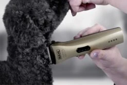 Wahl Super Groom Cordless Dog Grooming Clipper Kit -Pawfect Sales Store WM6872 800X Supergroom Clipper High 1024x691 1
