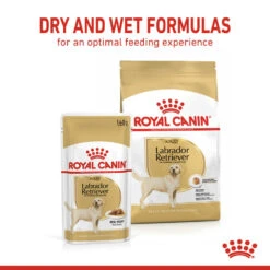 ROYAL CANIN® Labrador Retriever Adult In Gravy Wet Dog Food -Pawfect Sales Store a8n8hwzpioj4at0pojzv