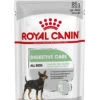ROYAL CANIN® Digestive Care Wet Pouches All Breeds Adult Dog Food 1 ROYAL CANIN® Digestive Care Wet Pouches All Breeds Adult Dog Food -Pawfect Sales Store agbut6bmqaeeq7tat8gt