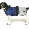 Battersea 2 In 1 Waterproof Dog Coat Blue -Pawfect Sales Store aibposze