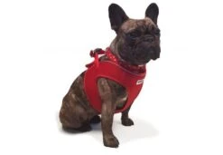 Ancol Viva Step-in Mesh Dog Harness Red -Pawfect Sales Store ancol 3