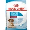 ROYAL CANIN® Medium Starter Mother & Babydog Adult And Puppy Dry Food
