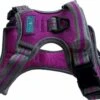 Hem & Boo Sports Harness Purple -Pawfect Sales Store bf2zm55h