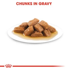ROYAL CANIN® Medium Ageing 10+ Senior In Gravy Wet Dog Food 15 ROYAL CANIN® Medium Ageing 10+ Senior In Gravy Wet Dog Food -Pawfect Sales Store bpjwi69kslqcnub8pntn