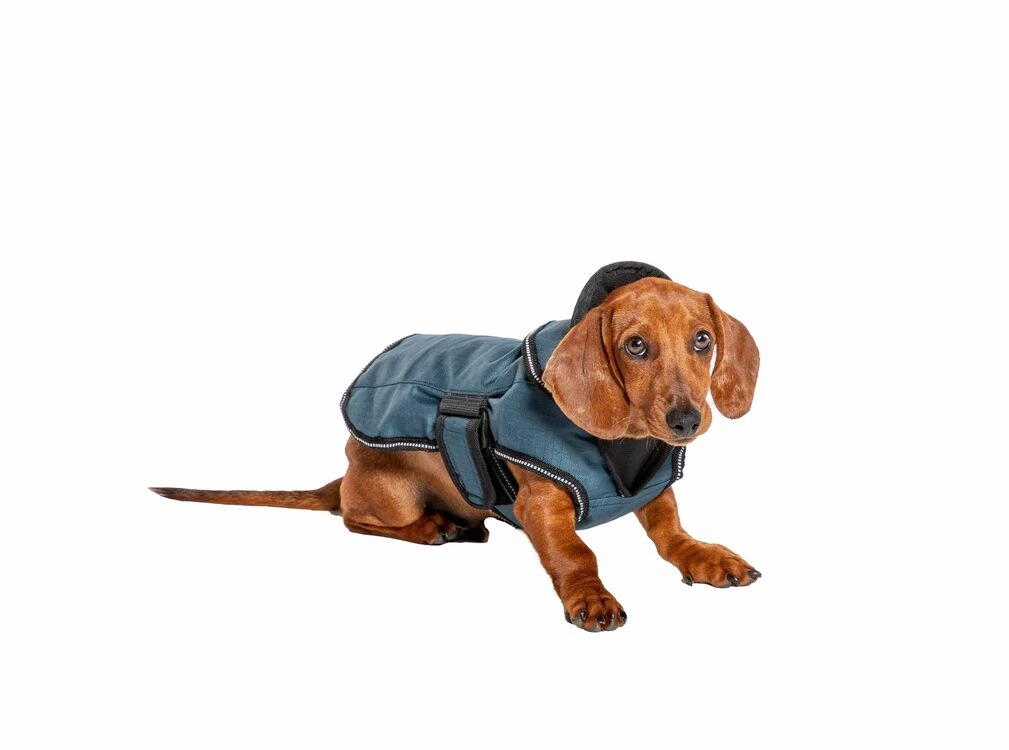 Danish Design 2 In 1 Ultimate Waterproof Harness Dog Coat Blue 4 Danish Design 2 In 1 Ultimate Waterproof Harness Dog Coat Blue - Image 2