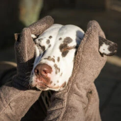 Lords & Labradors Bamboo Dog Drying Mits Mole -Pawfect Sales Store brown mitt 001