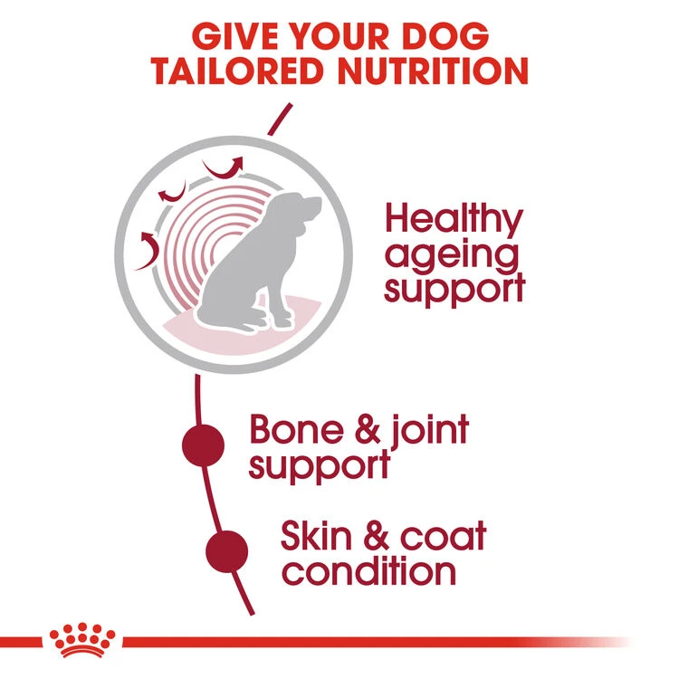 ROYAL CANIN® Medium Ageing 10+ Senior In Gravy Wet Dog Food 9 ROYAL CANIN® Medium Ageing 10+ Senior In Gravy Wet Dog Food - Image 7