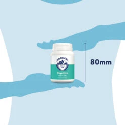 Dorwest Digestive Supplement Tablets -Pawfect Sales Store dg200 pt12