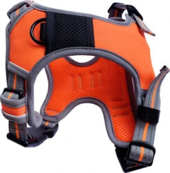 Hem & Boo Sports Harness Orange -Pawfect Sales Store dh4978 dh4979 dh4980 dh5043 sports harness orange front lr