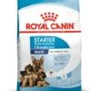 ROYAL CANIN® Maxi Large Breed Starter Mother & Babydog Adult And Puppy Dry Food 2 ROYAL CANIN® Maxi Large Breed Starter Mother & Babydog Adult And Puppy Dry Food -Pawfect Sales Store diueebngdcloab2wmbg0