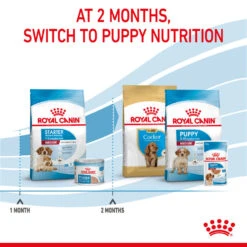 ROYAL CANIN® Medium Starter Mother & Babydog Adult And Puppy Dry Food 20 ROYAL CANIN® Medium Starter Mother & Babydog Adult And Puppy Dry Food -Pawfect Sales Store dsxpejxsluwcm2cyeqbr