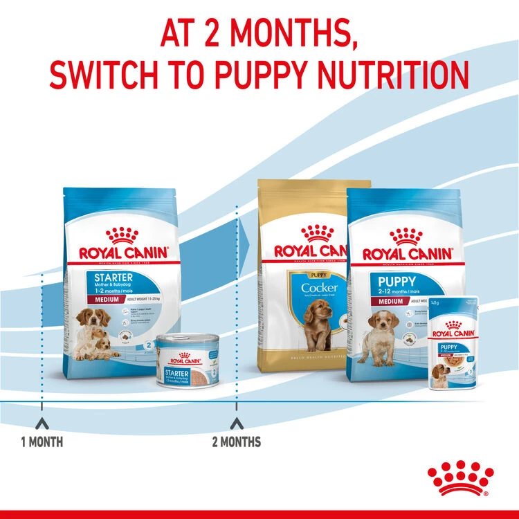 ROYAL CANIN® Medium Starter Mother & Babydog Adult And Puppy Dry Food 10 ROYAL CANIN® Medium Starter Mother & Babydog Adult And Puppy Dry Food - Image 8