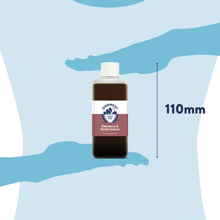 Dorwest Elderberry & Nettle Extract 6 Dorwest Elderberry & Nettle Extract - Image 4