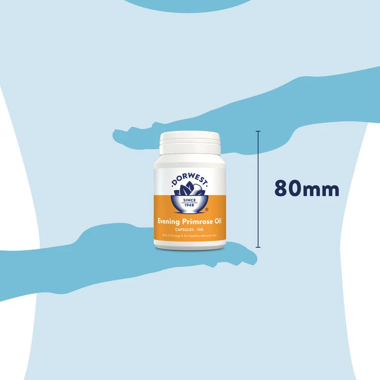 Dorwest Evening Primrose Oil Capsules 6 Dorwest Evening Primrose Oil Capsules - Image 4