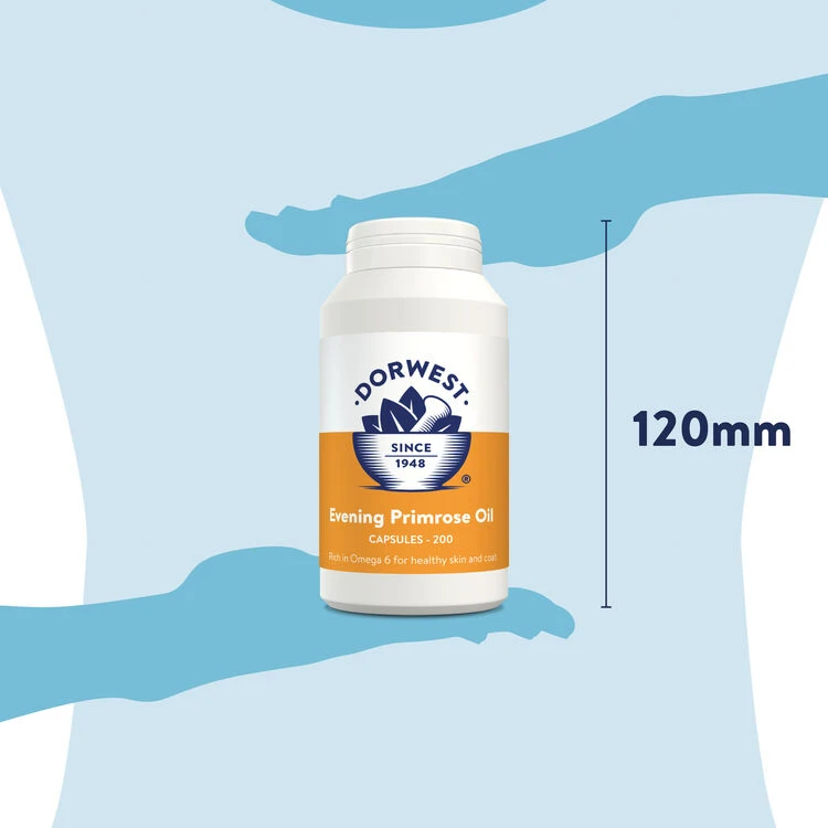 Dorwest Evening Primrose Oil Capsules 10 Dorwest Evening Primrose Oil Capsules - Image 8