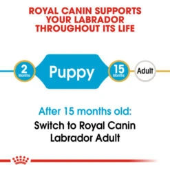 ROYAL CANIN® Labrador Retriever Puppy Dry Food -Pawfect Sales Store eprmoho9yddxzy9z7e9p