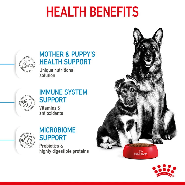 ROYAL CANIN® Maxi Large Breed Starter Mother & Babydog Adult And Puppy Dry Food 8 ROYAL CANIN® Maxi Large Breed Starter Mother & Babydog Adult And Puppy Dry Food - Image 6