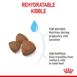 ROYAL CANIN® Medium Starter Mother & Babydog Adult And Puppy Dry Food 19 ROYAL CANIN® Medium Starter Mother & Babydog Adult And Puppy Dry Food -Pawfect Sales Store f0iqfbseiusbbgzu4bm3