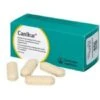 12 X 4.4g Canikur Tablets 2 12 X 4.4g Canikur Tablets -Pawfect Sales Store fm 2020 02 18 04 00 54 61242 images