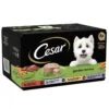 Cesar Garden Terrine Mixed Selection In Loaf Dog Food 2 Cesar Garden Terrine Mixed Selection In Loaf Dog Food -Pawfect Sales Store fm 2021 05 20 08 49 52 47942 images