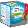 Dentalife Large Dog Treat Dental Chews 2 Dentalife Large Dog Treat Dental Chews -Pawfect Sales Store fm 2021 07 02 03 17 32 16262 images