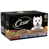 Cesar Hearty Casserole Mixed Selection Wet Dog Food 2 Cesar Hearty Casserole Mixed Selection Wet Dog Food -Pawfect Sales Store fm 2021 07 02 09 58 45 63568 images