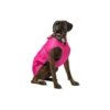 Muddy Paws Stormguard Fleece Lined Coat & Chest Protector Pink Small/medium 2 Muddy Paws Stormguard Fleece Lined Coat & Chest Protector Pink Small/medium -Pawfect Sales Store fm 2021 09 10 07 33 15 64123 images