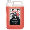Bugalugs Flea & Tick Shampoo 5 Litres -Pawfect Sales Store fm 2022 08 10 12 43 14 48391 images