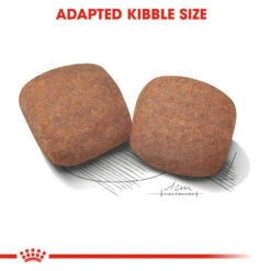 ROYAL CANIN® Giant Adult Dry Dog Food -Pawfect Sales Store fuxqat5i7eetxmdje12c