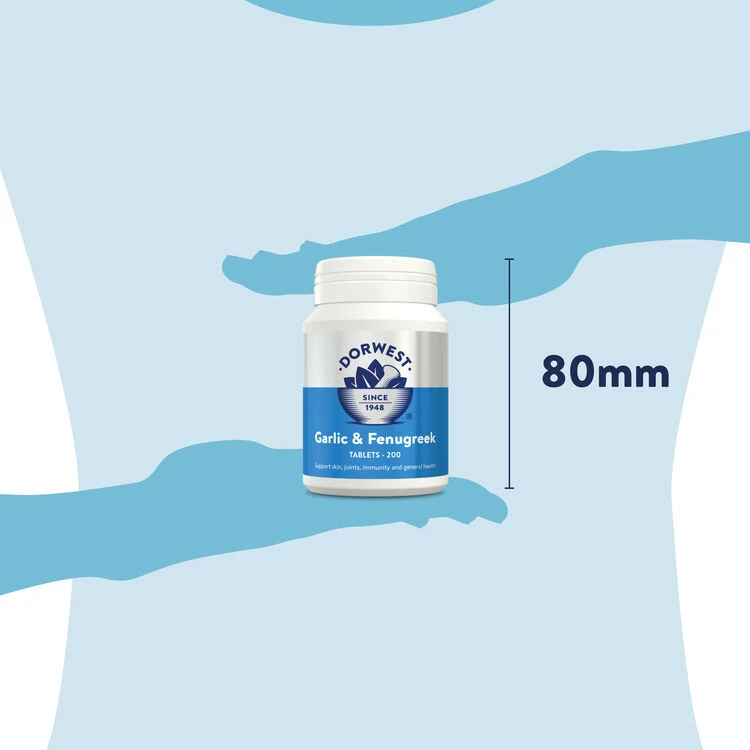 Dorwest Garlic & Fenugreek Tablets 8 Dorwest Garlic & Fenugreek Tablets - Image 6