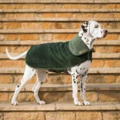 Lords & Labradors Bamboo Dog Drying Coat Fir -Pawfect Sales Store green coat 002
