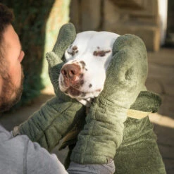 Lords & Labradors Bamboo Dog Drying Mits Fir -Pawfect Sales Store green mitt 001