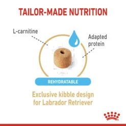 ROYAL CANIN® Labrador Retriever Adult 5+ Dry Dog Food -Pawfect Sales Store hhq1rzrvfvhci3w7k5jf