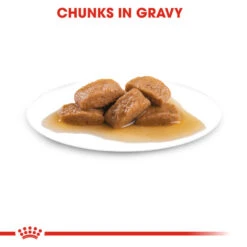 ROYAL CANIN® Maxi Large Breed Adult In Gravy Wet Dog Food -Pawfect Sales Store humhe8o4xkluqg5sotdc 1