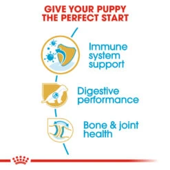 ROYAL CANIN® German Shepherd Puppy Dry Dog Food 15 ROYAL CANIN® German Shepherd Puppy Dry Dog Food -Pawfect Sales Store i9sj4qy1qv8y2yef4jhq