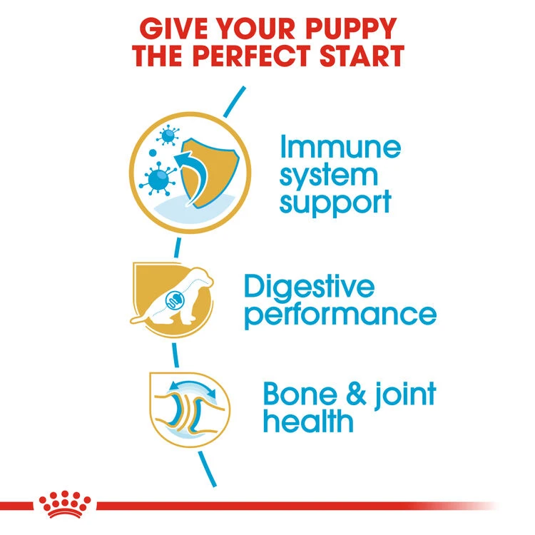 ROYAL CANIN® German Shepherd Puppy Dry Dog Food 7 ROYAL CANIN® German Shepherd Puppy Dry Dog Food - Image 5