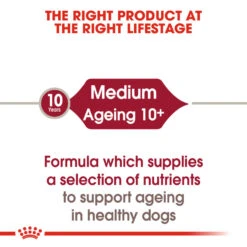 ROYAL CANIN® Medium Ageing 10+ Senior In Gravy Wet Dog Food 17 ROYAL CANIN® Medium Ageing 10+ Senior In Gravy Wet Dog Food -Pawfect Sales Store im3wb8d3a656oklgkqpj