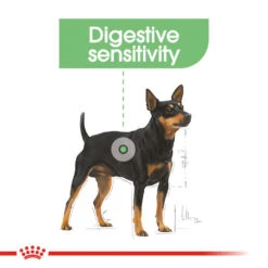 ROYAL CANIN® Mini Digestive Care Adult Dry Dog Food -Pawfect Sales Store iteudwagturp1bj7lhlh