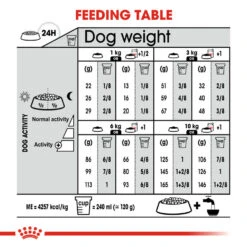 ROYAL CANIN® Mini Digestive Care Adult Dry Dog Food -Pawfect Sales Store iw4tdrfuzodz56arbs5j