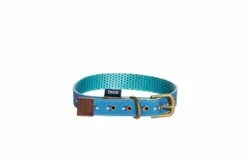 FatFace Spotty Bees Dog Collar
