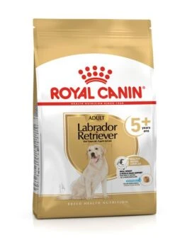 ROYAL CANIN® Labrador Retriever Adult 5+ Dry Dog Food