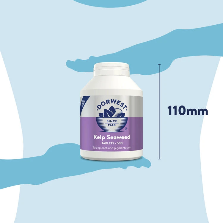 Dorwest Kelp Seaweed Tablets 13 Dorwest Kelp Seaweed Tablets - Image 11