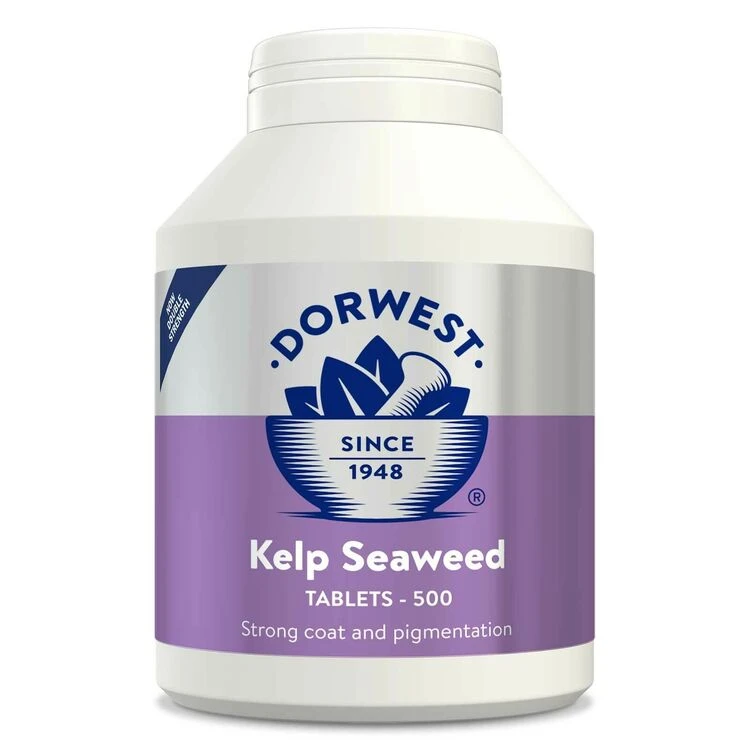 Dorwest Kelp Seaweed Tablets 12 Dorwest Kelp Seaweed Tablets - Image 10
