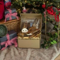 Lords & Labradors Natural Graze Ultimate Treat Box -Pawfect Sales Store lords and labradors natural treats ultimate graze box 1920x.progressive