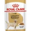ROYAL CANIN® Labrador Retriever Adult In Gravy Wet Dog Food -Pawfect Sales Store lpssv9yqywdhsjctecst