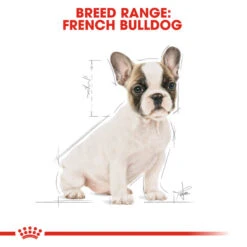 ROYAL CANIN® French Bulldog Puppy Dry Food 16 ROYAL CANIN® French Bulldog Puppy Dry Food -Pawfect Sales Store mgc5ih9afooc5fcyoamt